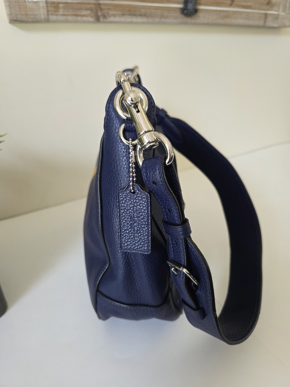 Coach Jes Hobo Cadet Multi Varsity Stripe Pebbled Leather Shoulder Bag - Picture 6 of 14